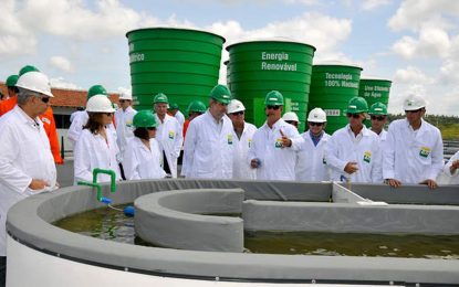 Conselho propõe elevar para 15% em 2023 mistura de biodiesel no diesel